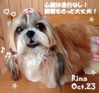 rina-102123-1-min.jpg
